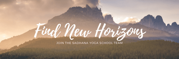 Should I Take A Yoga Teacher Training?